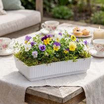Itens Tigela Lara 15cm x 8cm x 4cm 10uds