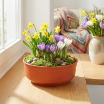 Itens Tigela em Z de plástico Ø16cm 10 peças