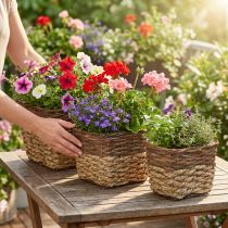 Itens Cesto de plantas, recipiente natural para plantio, vaso de flores quadrado natural L29.5/26/23cm H21/19/16cm conjunto de 3