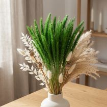 Itens Milho de cerdas verdes Setaria viridis grama seca 52cm 28g