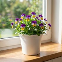 Itens Vaso plástico “Irys” branco Ø15cm H13cm 1 un