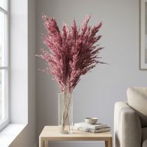 Itens Capim-de-junco seco, capim decorativo seco, rosa antigo, 75 cm, 10 peças