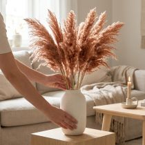 Itens Decoração de junco seco na cor damasco, 75 cm, 10 peças, estilo boho, capim-dos-pampas.