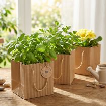 Itens Vaso de flores de papel saco para plantas folha natural 10,5 cm 10 peças