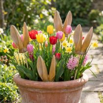 Itens Estaca de Jardim com Orelhas de Coelho, Estatueta de Animal da Primavera para Decoração de Jardim e Páscoa, 29cm, Conjunto com 4 Peças