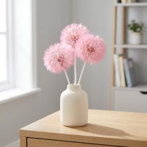 Itens Flores secas gigantes de dente-de-leão, decoração elegante para casa, 12 cm, 4 peças