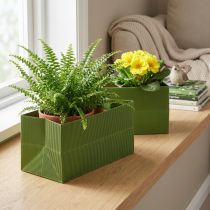 Itens Floreira Canelada Longa Verde Oliva 24x12cm 6 un