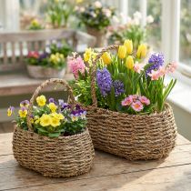 Itens Cesto para plantas com alça cesto para flores L23/35cm conjunto de 2