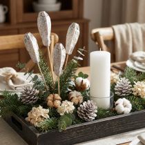 Itens Vagens de mogno secas para decoração natural branco 45cm 50 unidades