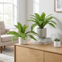 Itens Plantas artificiais de samambaia ninho em verde 5,5×22cm 2 unidades