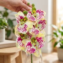 Itens Ramo de orquídea artificial Phaelaenopsis Verde Rosa Alt.49cm
