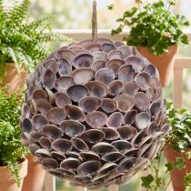 Itens Bolas decorativas para decoração de conchas para pendurar decoração marítima Ø18cm