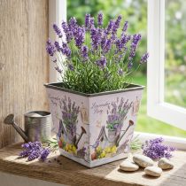 Itens Vaso motivo lavanda, vaso decorativo quadrado, cachepot de plástico A13cm L13,5cm