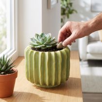 Itens Vaso em formato de cacto, ideal para dar um toque exótico à sua decoração, 16 cm