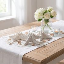 Itens Decoração de estrela do mar grande estrela do mar cravejada de branco seco 15-18 cm 10 peças