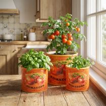 Itens Conjunto de 3 vasos decorativos de cerâmica para tomateiro, ideais para cozinha e decoração retrô, 14 cm de diâmetro.