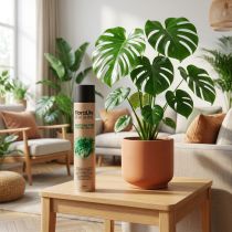 Itens Oasis Floralife Leaf Shine Leaf Spray de Brilho 750ml