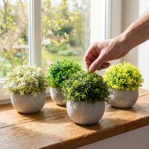 Itens Plantas artificiais Buxo artificial 12,5 cm × Ø12 cm 4 unidades
