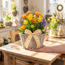 Itens Fita decorativa borboletas fio laranja borda 25mm 18m