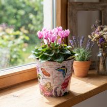 Itens Vaso de flores vaso de flores vaso de flores de plástico Ø15,5 × H13cm