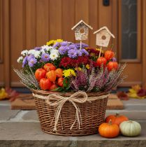 Itens Casinha de pássaros decorativa, bétula, 5 cm, com suporte para flores, 4 peças