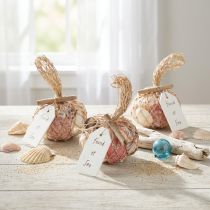 Itens Conchas decorativas marítimas misturadas em rede, coloridas, 3,5-6 cm, 300 g × 3 peças