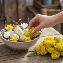 Itens Deco musgo amarelo musgo de rena para artesanato amarelo limão 500g