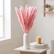 Itens Capim-dos-pampas rosa seco decorativo, 70 cm, 10 unidades