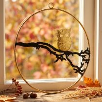 Itens Coruja para decoração de janelas em ramo outono, argola decorativa metal 22cm