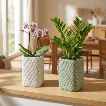 Itens Plantador de cerâmica branco verde malha relevo 14x14cm H21.5cm 2pcs
