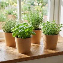Itens Plantador, vaso de flores, plantador de papel natural Ø15cm H13cm 4pcs