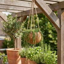 Itens Tigela de coco suspensa, tigela de planta natural, cesto suspenso Ø8cm L55cm