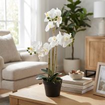 Itens Orquídea artificial em vaso para um ambiente harmonioso, branca, 60cm