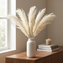 Itens Aspargos Gramíneas Secas Aspargos Ornamentais Creme 90cm 5 unidades