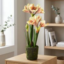 Itens Amarílis em bola de musgo artificial com flores estampadas rosa-amarelas - 45 cm - Decoração exótica e elegante