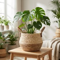 Itens Cesto com alças, vaso de plantas, junco marinho, juta, Ø23cm A20cm, estilo boho chic, decoração de selva urbana
