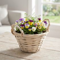 Itens Cesto decorativo para batatas fritas com alças para ideias de design versáteis
