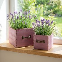 Itens Gaveta de plantas caixa de plantas madeira roxa 12,5/16 cm conjunto de 2