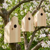Itens Caixa de ninhada de madeira para casa de passarinho Blue Tit Fir H22,5cm 3 unidades