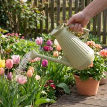 Itens Regador de 9 litros na cor verde-oliva com bico removível, prático para jardinagem e cuidados com flores, robusto, 42 cm
