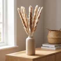 Itens Capim-dos-pampas, seco de forma decorativa para arranjos elegantes e buquês secos.