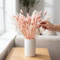 Itens Phalaris rosa brilhante grama seca decoração seca 65cm 60g