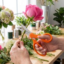 Itens Tesoura para flores com dentes em aço inoxidável laranja 20cm