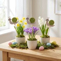 Itens Decoração de caracol em bastão de flor Madeira Feltro Verde 6,5 cm 12 unidades