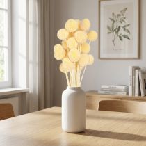Itens Craspedia Flores Secas Creme para Decoração 20 unidades 50-55cm