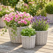 Itens Cesto de plantio grande com revestimento metálico, branco-acinzentado, Ø43/34/28cm, conjunto de 3