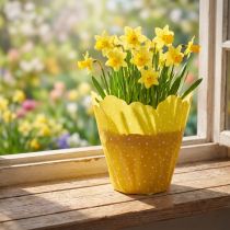 Itens Punhos Rondella Ø38cm amarelo 50pcs