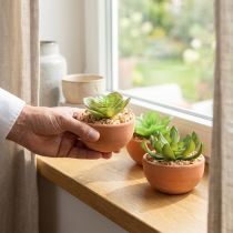 Itens Plantas artificiais em vasos suculentas artificiais H9cm 3uds