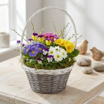 Itens Cesta de vime com alça, cinza e branca, Ø29cm, presente, decoração floral