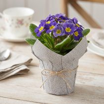 Itens Papel para plantador pontilhado embalagem para presente flores Ø7cm H14cm 12 unidades
